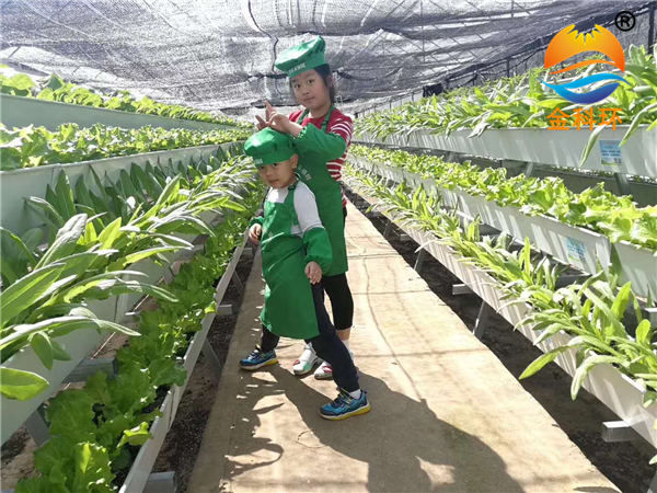 蔬菜91视频APP下载地址  新疆客户实拍案例