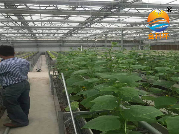 黄瓜91视频APP下载地址 案例实拍 (9)