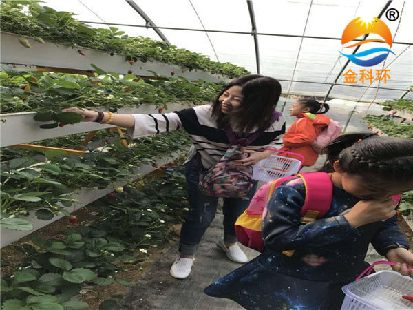 草莓91视频播放26