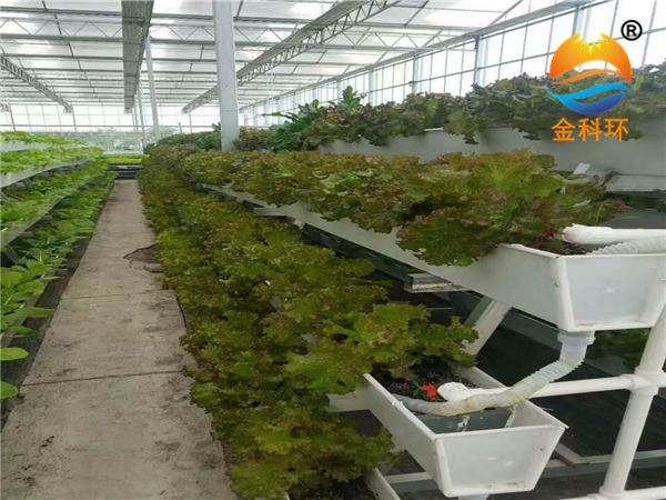 石家庄91视频地址种植设备有限公司14