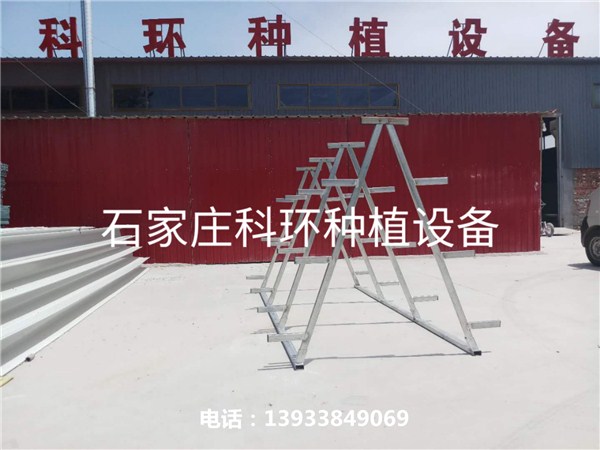 91视频APP下载地址架